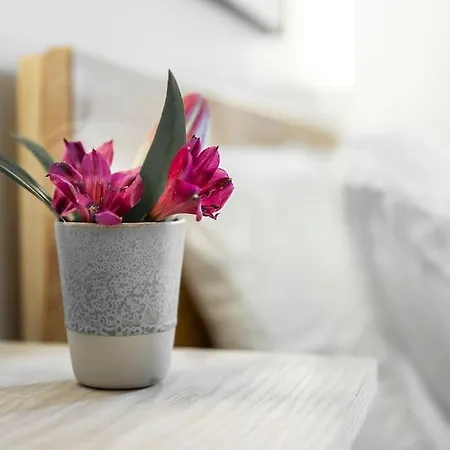 Zenspace شاليه *